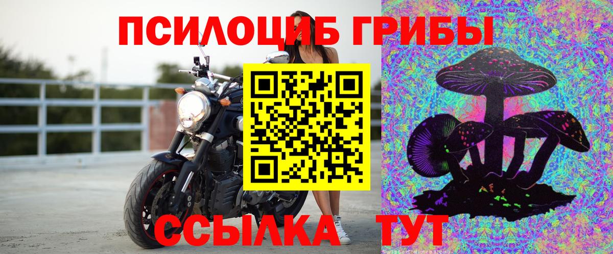 Галлюциногенные грибы ЛСД Котовск