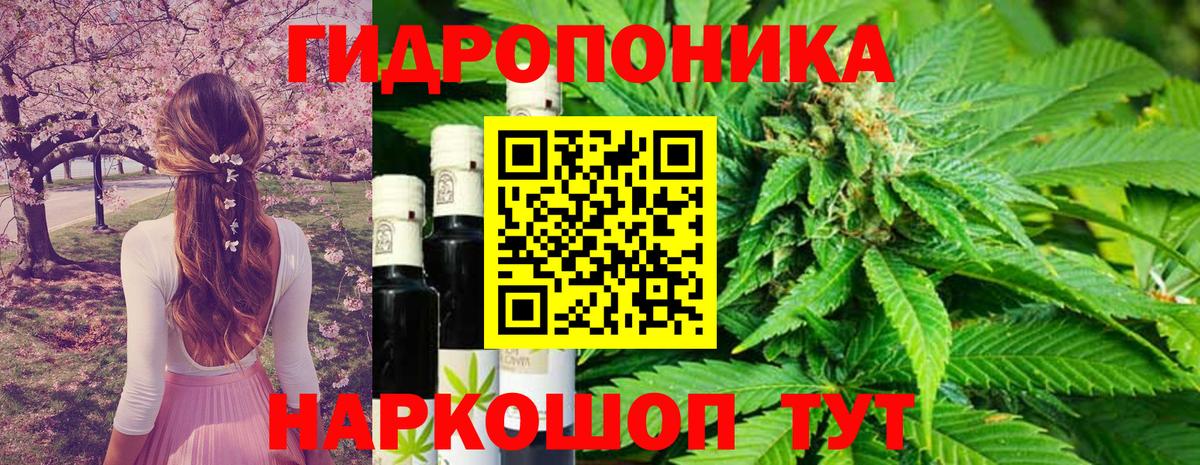Конопля MAZAR  Вход с VPN  Марихуана THC 21%  Бошки Шишки марихуана  Котовск 